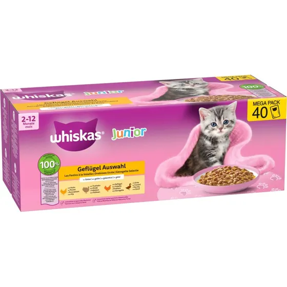 Whiskas Junior Drób w galarecie, 40 x 85 g