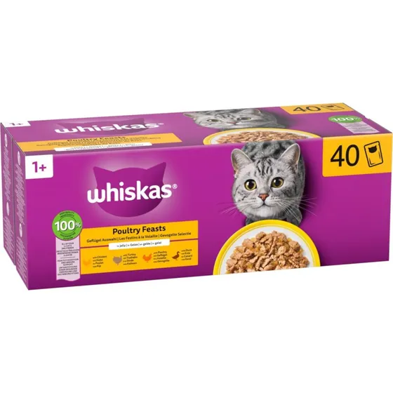Whiskas 1+ Adult Drób w galarecie, 40 x 85 g