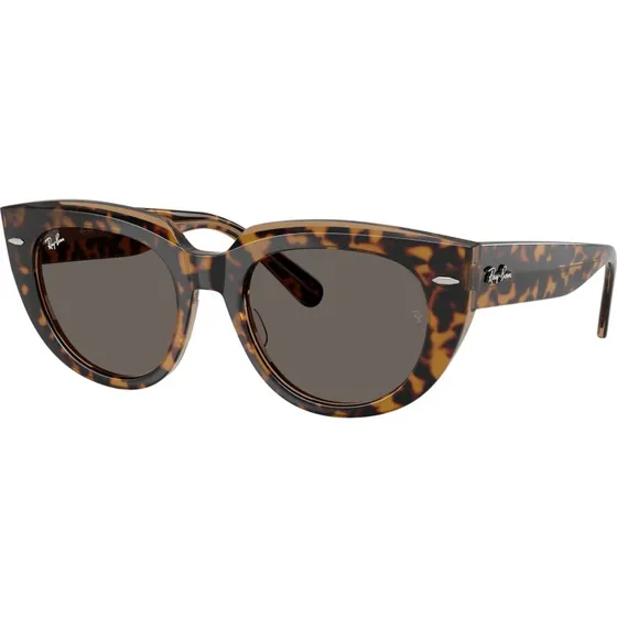 Ray-Ban Doreen RB 2286 1413S3 52 z polaryzacj