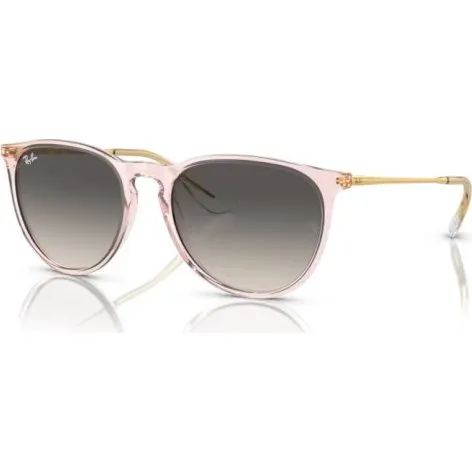 Ray-Ban Erika RB 4171 600068 54 szary