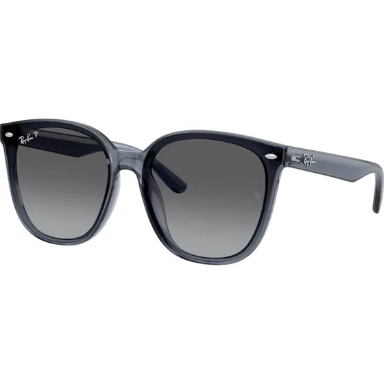 Ray-Ban RB 4423D 6592T3 66 Z Polaryzacj, Rozmiar L