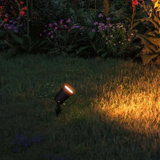 Paulmann Gold Light LED Lampa Ogrodowa Insect Friendly IP65 Black
