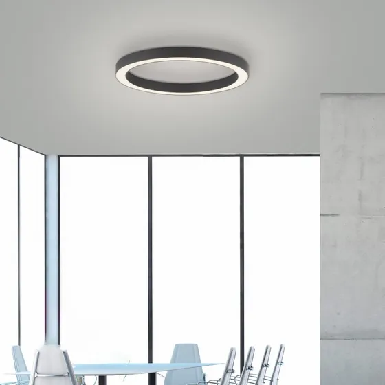 Paul Neuhaus PURE Lines Round LED Lampa sufitowa, grafitowa, Ø 50 cm