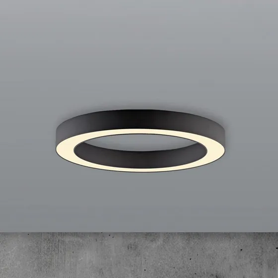Paul Neuhaus PURE Lines Lampa sufitowa LED, 35 cm, grafit, CCT