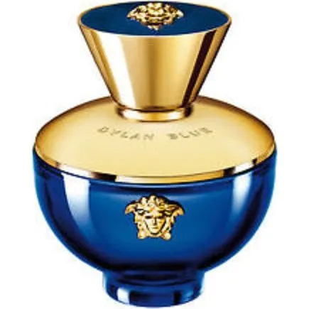 Versace Pour Femme Dylan Blue Eau de Parfum 100 ml