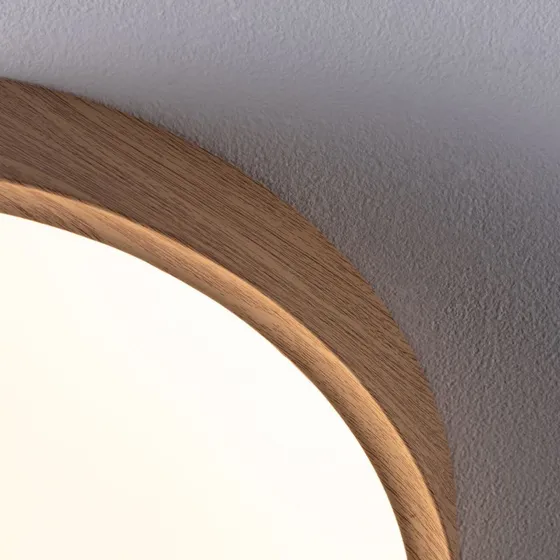 Paulmann Tega LED IP44 Lampa sufitowa biała/drewno CCT