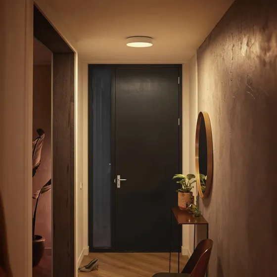 Philips Hue Enrave Lampa Sufitowa LED 26,1 cm Biała