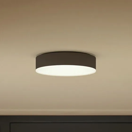 Philips Hue Enrave Lampa Sufitowa LED 26,1cm Czarna