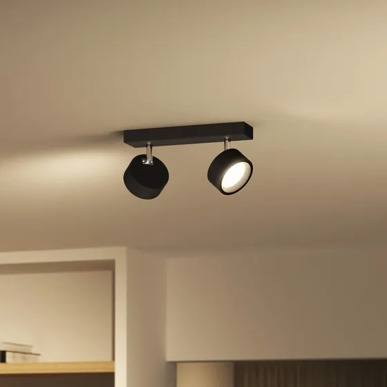 Philips Bracia Reflektor Sufitowy LED 2-punktowy, Czarny