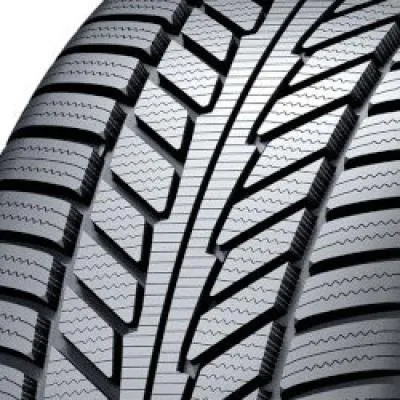 Continental iON i*cept (IW01) 215/50 R19 93H
