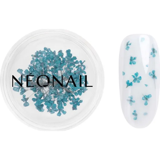 NEONAIL Suszone kwiaty do paznokci 05 Turquoise