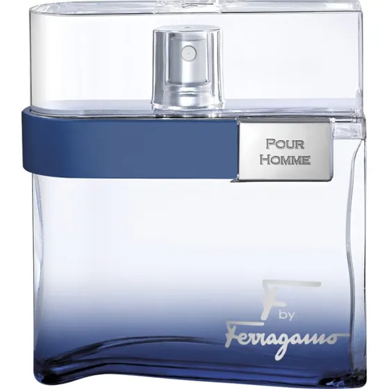 Salvatore Ferragamo F by Ferragamo Free Time EDT 100ml