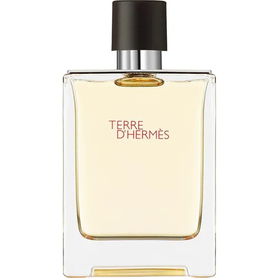 Hermes Terre d'Hermès Woda toaletowa 100 ml