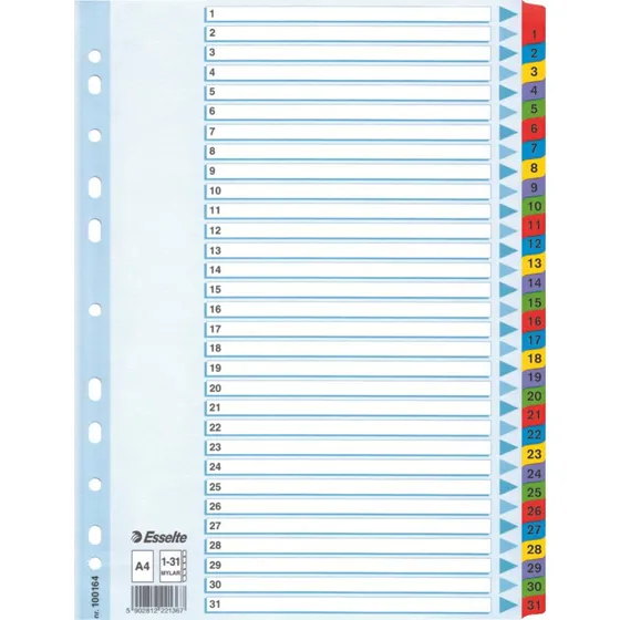 Esselte Przekładki Mylar A4 1-31