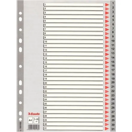 Esselte Przekadki PP Szare A4 31 kart