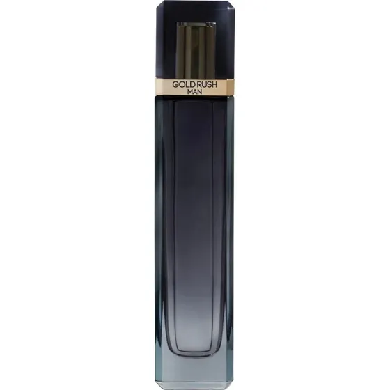 Paris Hilton Gold Rush Man woda toaletowa 100ml