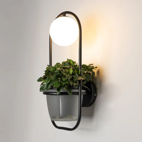 Lindby Orna Lampa Ścienna Black/Opal - Nowoczesny Kinkiet z Doniczką