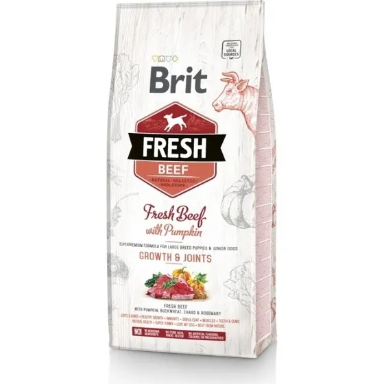 Brit Fresh Beef with Pumpkin Puppy Large - Sucha karma 12 kg