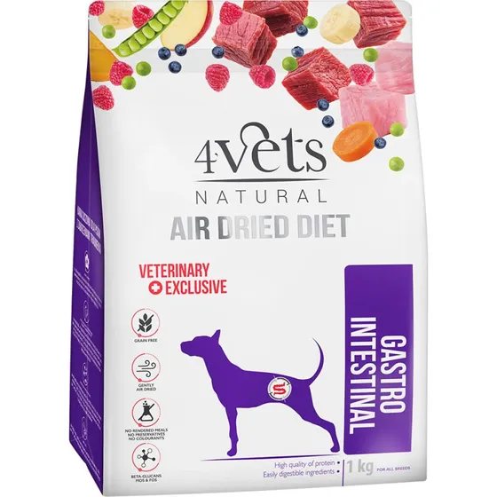 4Vets Natural Canine Gastro Intestinal - Sucha karma dla psa 1 kg