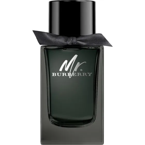 Burberry Mr. Burberry Eau de Parfum 100 ml