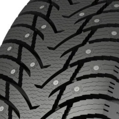 Nankang Ice Activa SW-8 205/55 R16 94T