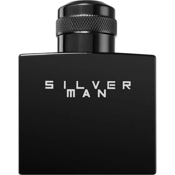 Jeanne Arthes Silver Man woda toaletowa 100 ml