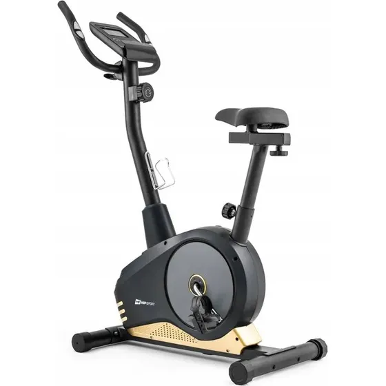 Spark Hop Sport Rower Magnetyczny Czarno-Zoty 9 kg