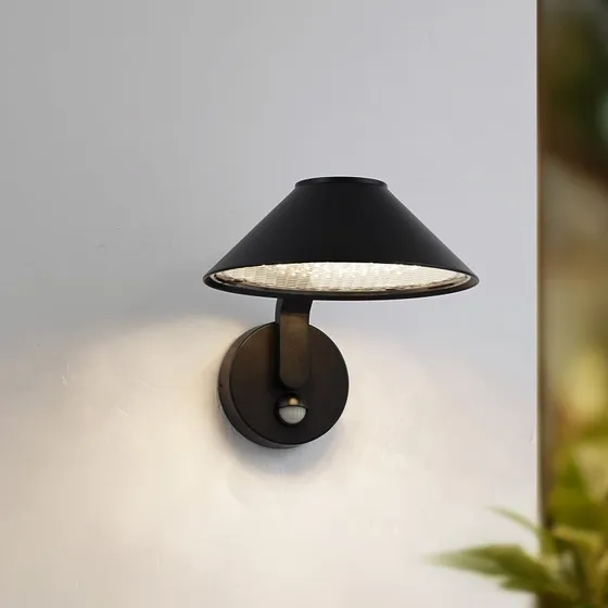 Kinkiet LED Lindby Capelo, czarny, czujnik ruchu, Ø20cm