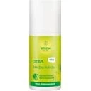 Weleda Cytrusowy Dezodorant w Kulce 24h 50ml