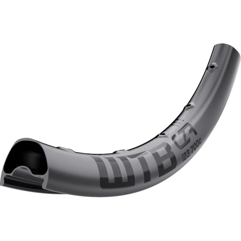 WTB CZR i23 29" Carbon 28H