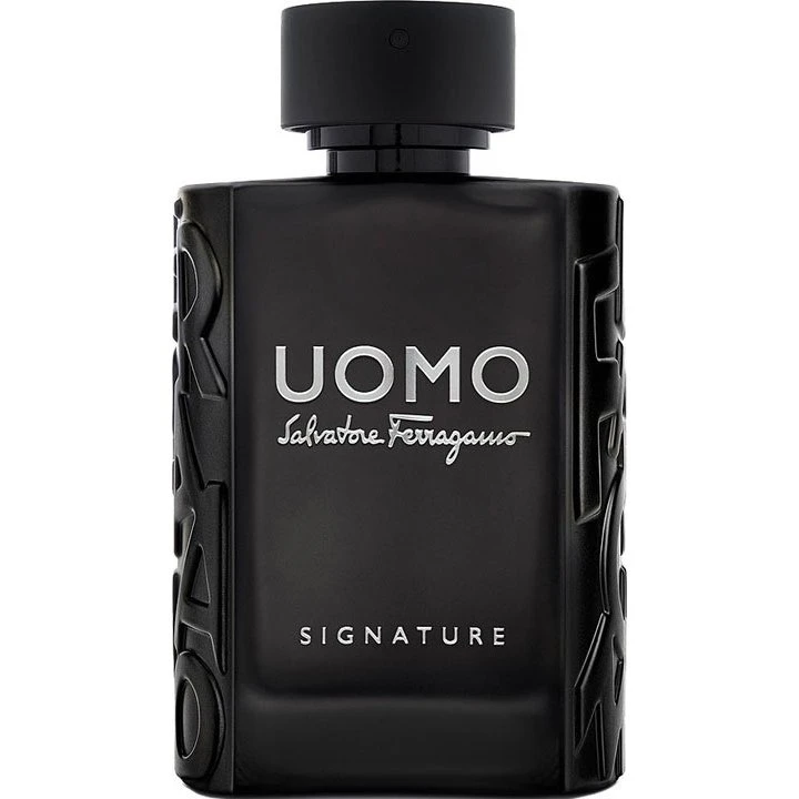 Salvatore Ferragamo Uomo Signature Eau de Parfum 100 ml
