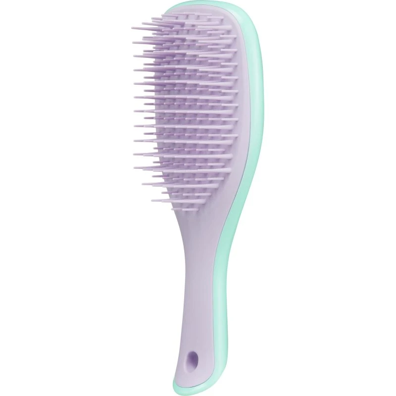 Tangle Teezer The Wet Detangler Mini - Wisteria Leaf