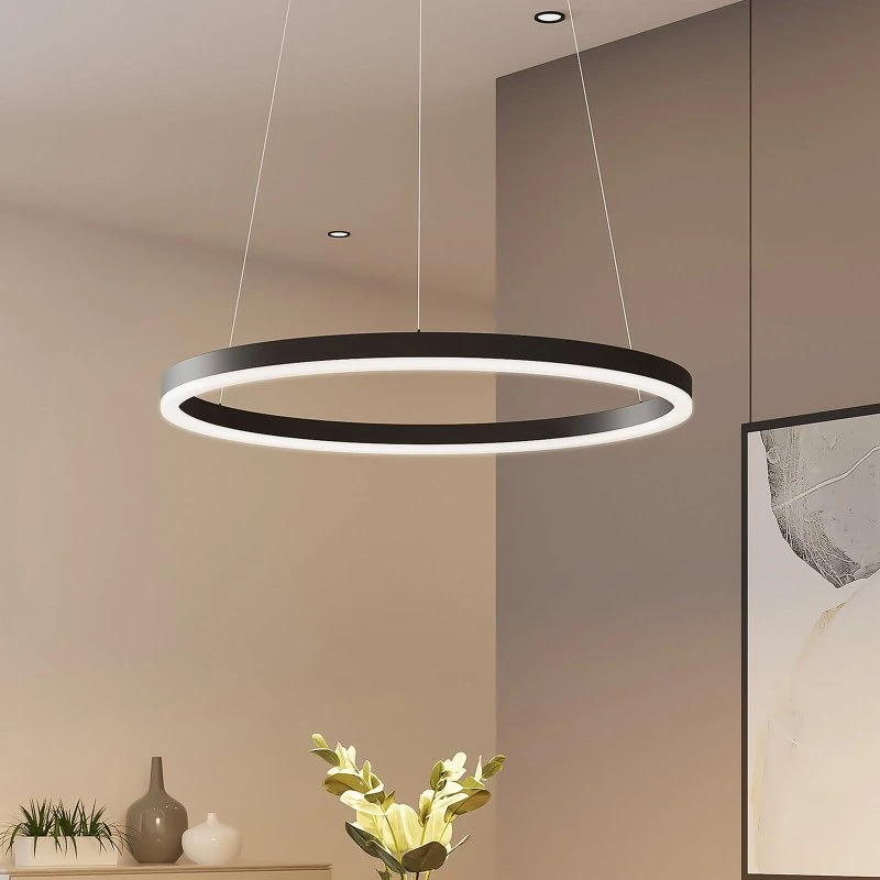 Arcchio Albiona Lampa wisząca LED Ø60 czarna/biała