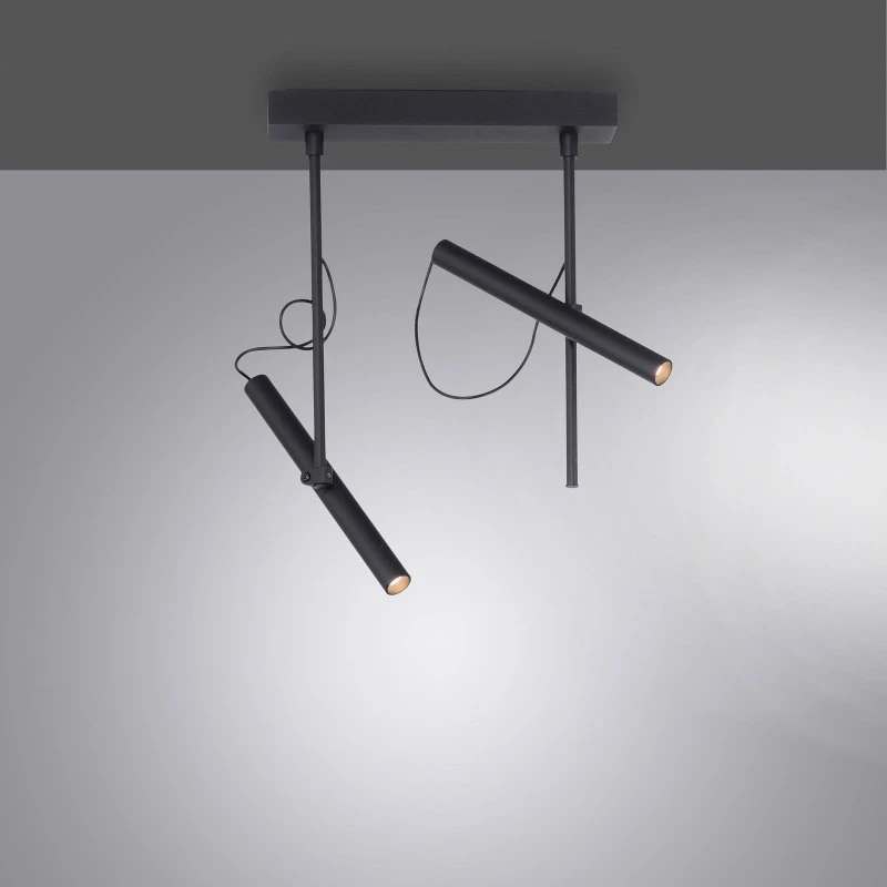 Lampa sufitowa LED PURE Tutua, 2-punktowa, czarna