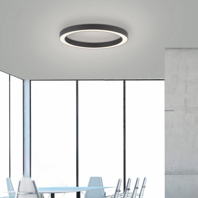 Paul Neuhaus PURE Lines Round LED Lampa sufitowa, grafitowa, Ø 50 cm