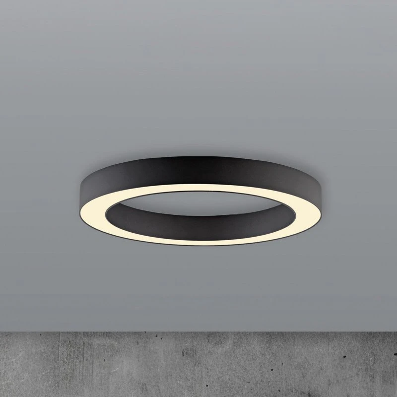 Paul Neuhaus PURE Lines Lampa sufitowa LED, 35 cm, grafit, CCT