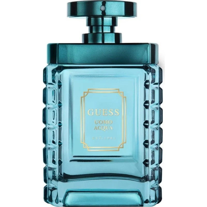 Guess Uomo Acqua woda toaletowa 100 ml