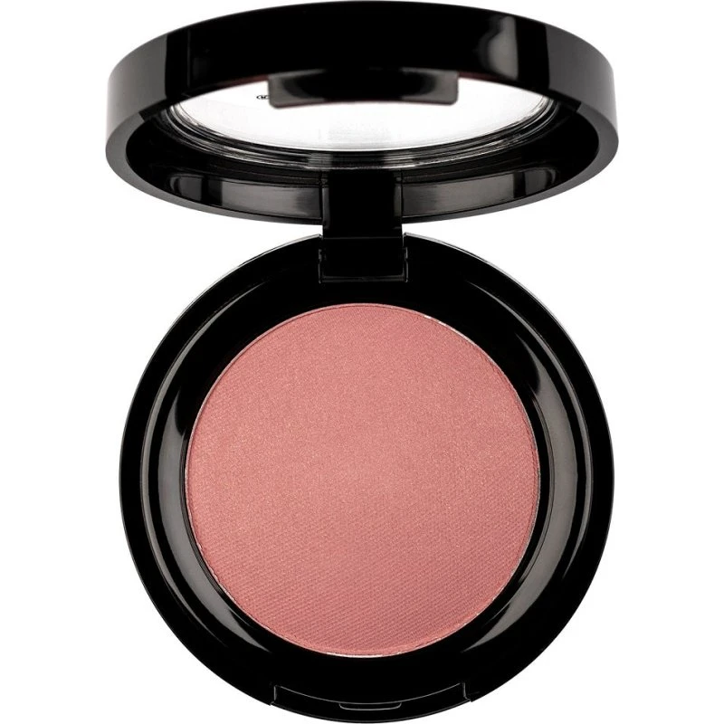 Pierre Rene Professional Rouge Powder róż 09 (6g)