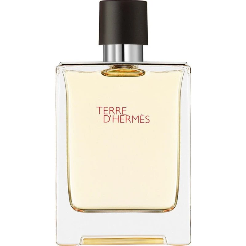 Hermes Terre d'Hermès Woda toaletowa 100 ml