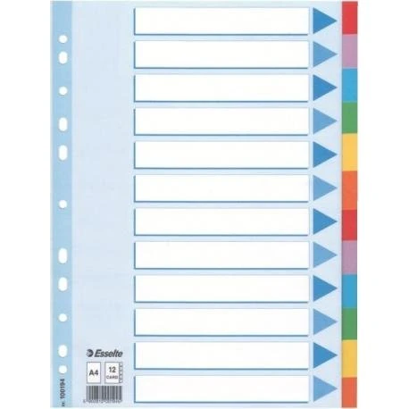 Esselte Przekładki A4 12 Kolorów 160 gsm