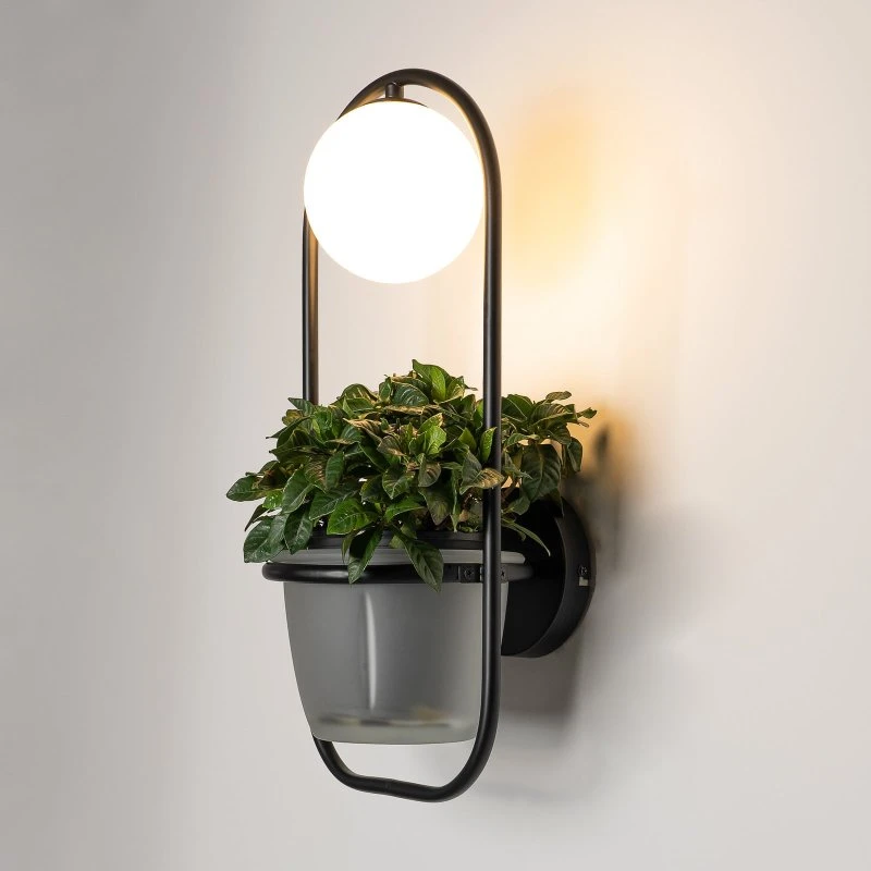 Lindby Orna Lampa Ścienna Black/Opal - Nowoczesny Kinkiet z Doniczką