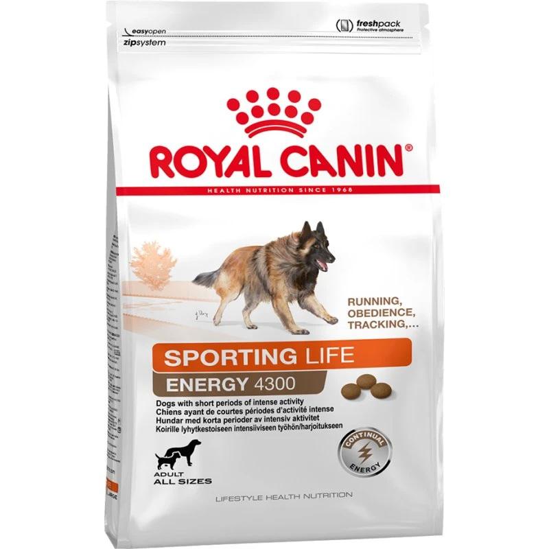 Royal Canin Sporting Life Energy Trail 4300 dla psów - 15 kg