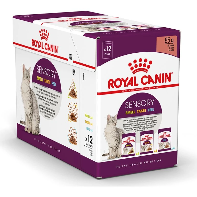 Royal Canin Sensory Smell Taste Feel mokra karma dla kota, 12x85g
