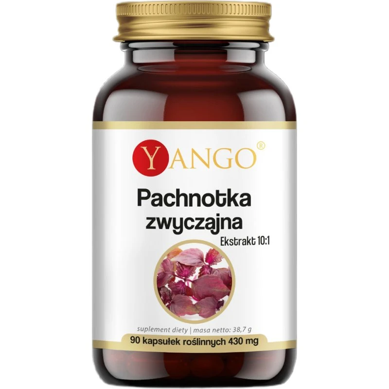 YANGO Pachnotka zwyczajna Perilla frutescens 90 kapsułek