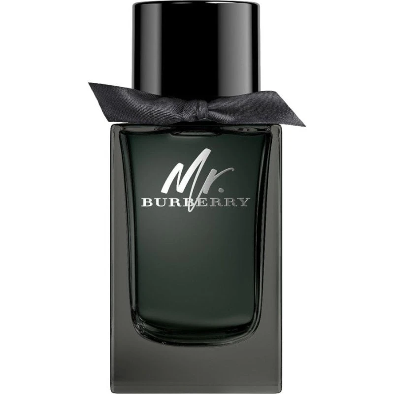 Burberry Mr. Burberry Eau de Parfum 100 ml