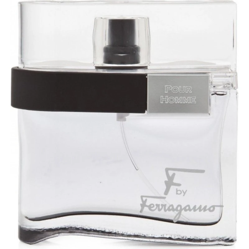 Salvatore Ferragamo F by Ferragamo Pour Homme EDT 100 ml