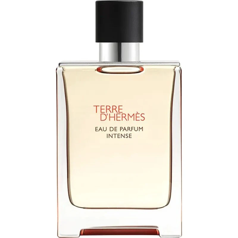 Hermès Terre d'Hermès Eau de Parfum Intense 100 ml Refillable