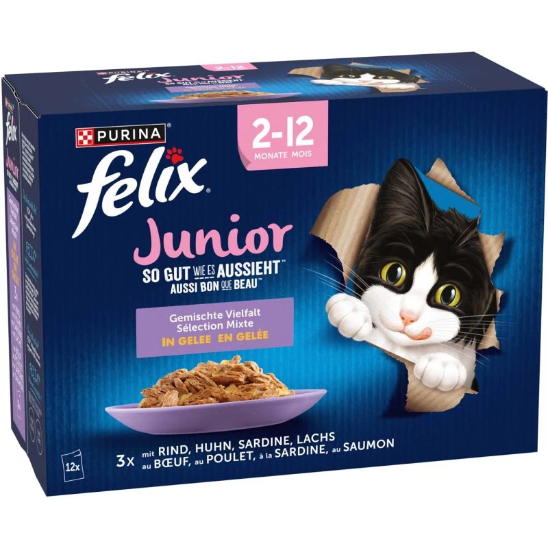 Felix So gut wie es aussieht Junior 12 x 85 g