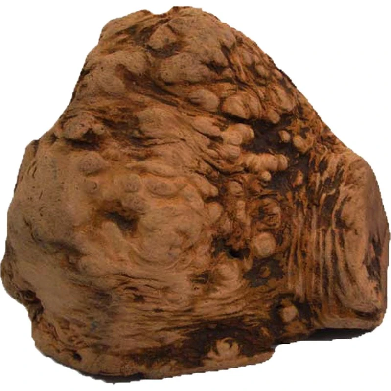 Chewies Korzeń do gryzienia - 2 x L